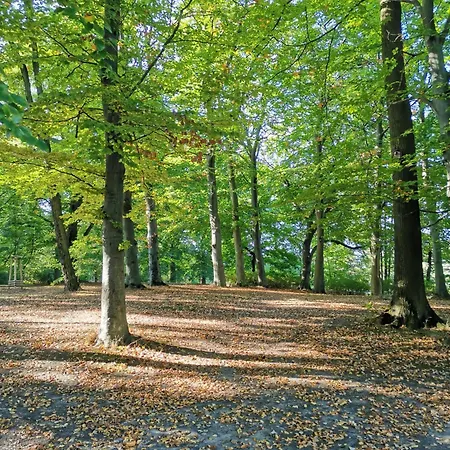 Apartment Sweet Little Mimi