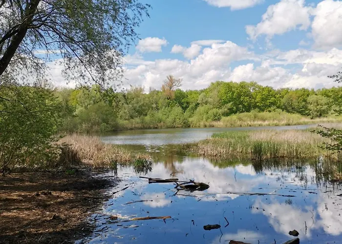 Sweet Little Mimi דירה